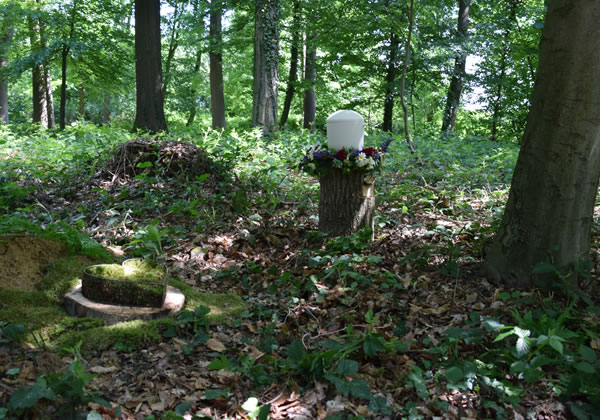 Bestattungen Bielefeld - Sieweke & Ruthe Bestattungen Bielefeld und Leopoldshöhe - Als Partner im Trauerfall bieten wir Ihnen neben der individuellen Gestaltung Ihrer Trauerfeier folgende Bestattungsformen an: Erdbestattung, Feuerbestattungen, Seebestattungen, Baumbestattungen. Des weiteren beraten wir Sie gerne im Rahmen der Bestattungsvorsorge.